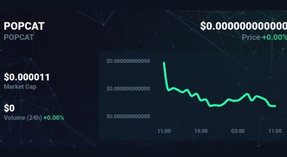 How-Has-Popcat's-(POPCAT)Market Cap-Evolved?