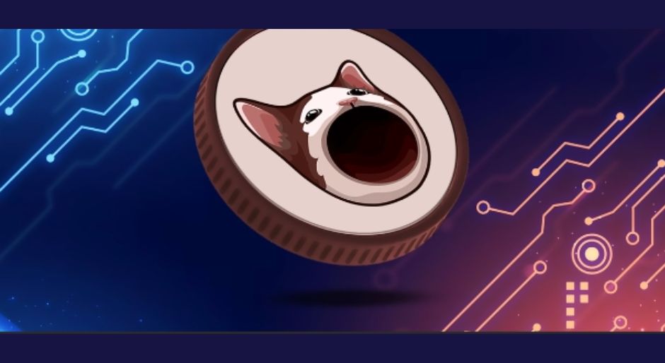 How Has Popcat's (POPCAT)Market Cap Evolved?
