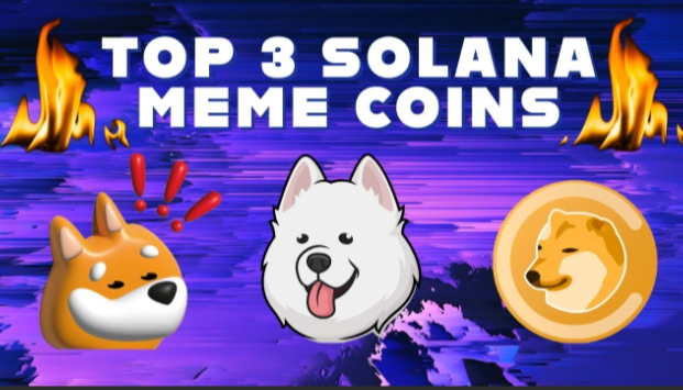 Top Solana Meme Coins to Watch in 2024