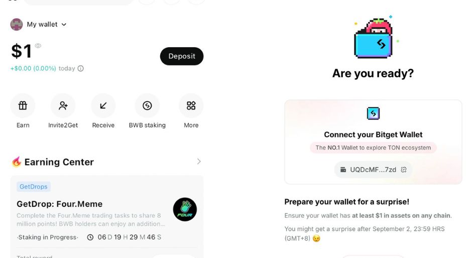 Tomarket tomatoes coin