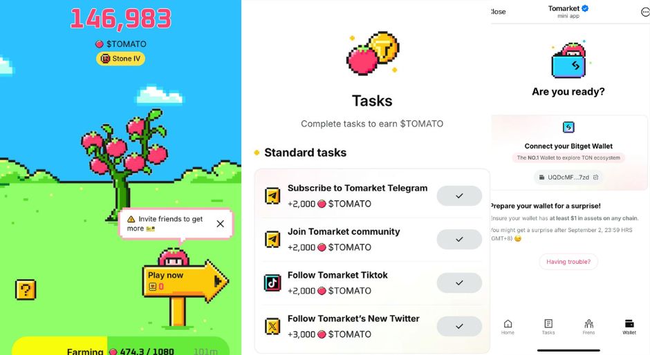 Tomarket tomatoes coin