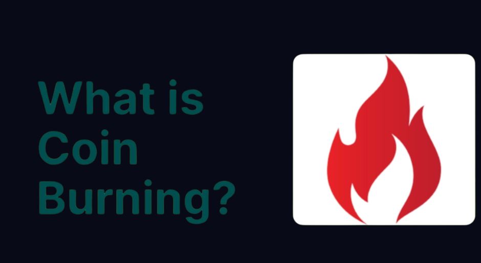 Coin Burning Explained: Understanding the Crypto Phenomenon